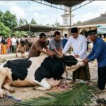 Prosesi pemotongan hewan kurban di Lingga, beberapa waktu lalu. (ft wandi)