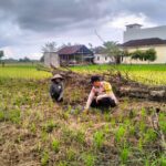 Petugas Polsek Tempuling saat di ladang untuk ketahanan pangan, pagi tadi. (ft muhamad)