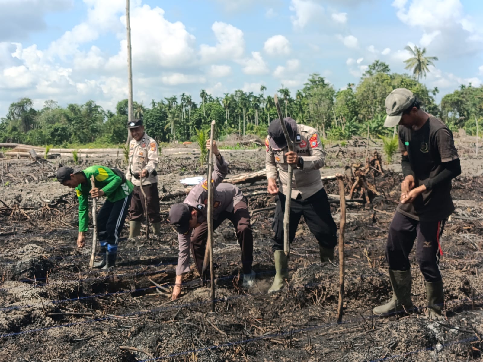 Polsek Batang Sungai saat menanam jagung bersama, pagi tadi. (ft muhamad)