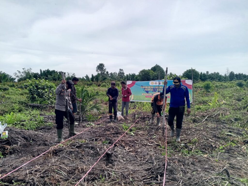 Kegiatan gotong royong tanam jagung ini dilaksanakan di kawasan Parit Bengkok, Dusun Karya Jaya, Desa Sungai Terab, Kecamatan Reteh, Kabupaten Indragiri Hilir, (ft muhamad)