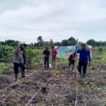 Kegiatan gotong royong tanam jagung ini dilaksanakan di kawasan Parit Bengkok, Dusun Karya Jaya, Desa Sungai Terab, Kecamatan Reteh, Kabupaten Indragiri Hilir, (ft muhamad)