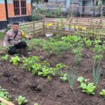 Bhabinkamtibmas Polsek Pelangiran, BRIPKA HP. Siregar, melaksanakan kegiatan pemantauan progres pertumbuhan tanaman terong dan cabai di Desa Tagagiri Tama Jaya, Kecamatan Pelangiran, Senin (1/6/2026). (ft muhamad)