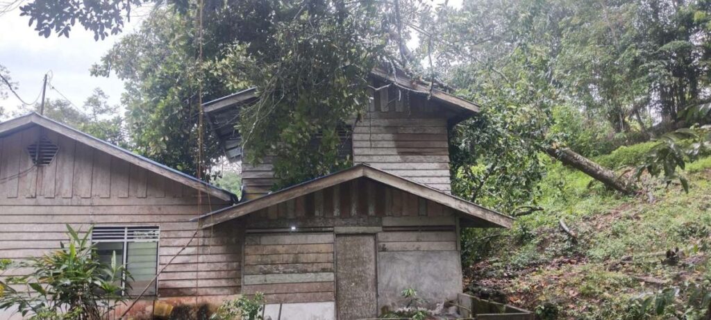 Kondisi rumah warga yang ditimpa pohon, pagi tadi. (t wandi)