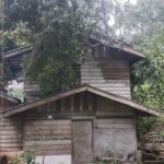 Kondisi rumah warga yang ditimpa pohon, pagi tadi. (t wandi)